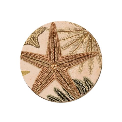New Zealand Coasters