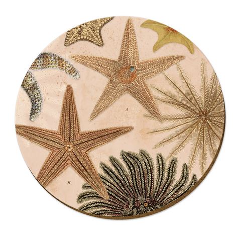 Wolfkamp & Stone NZ Placemats