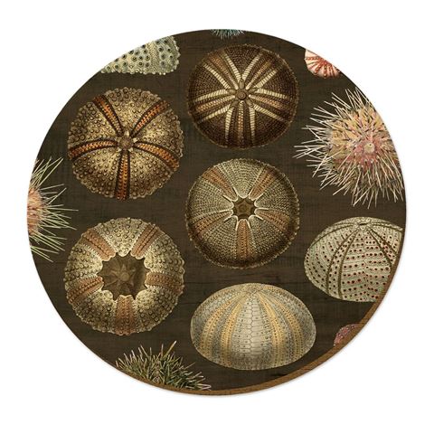 Wolfkamp & Stone NZ Placemats