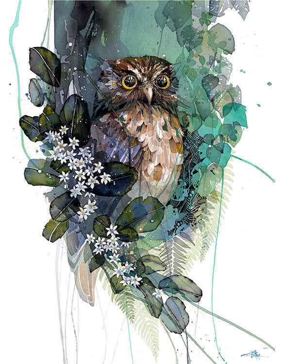 Box frame - Morepork Putaputaweta
