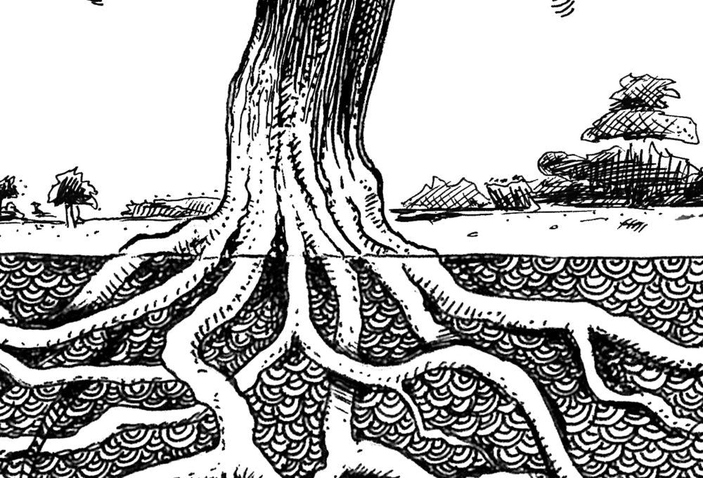 Tree of Life