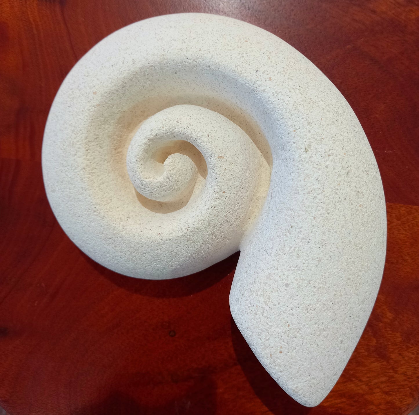 Nautilus Shell
