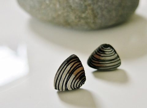Pipi Shell Earrings