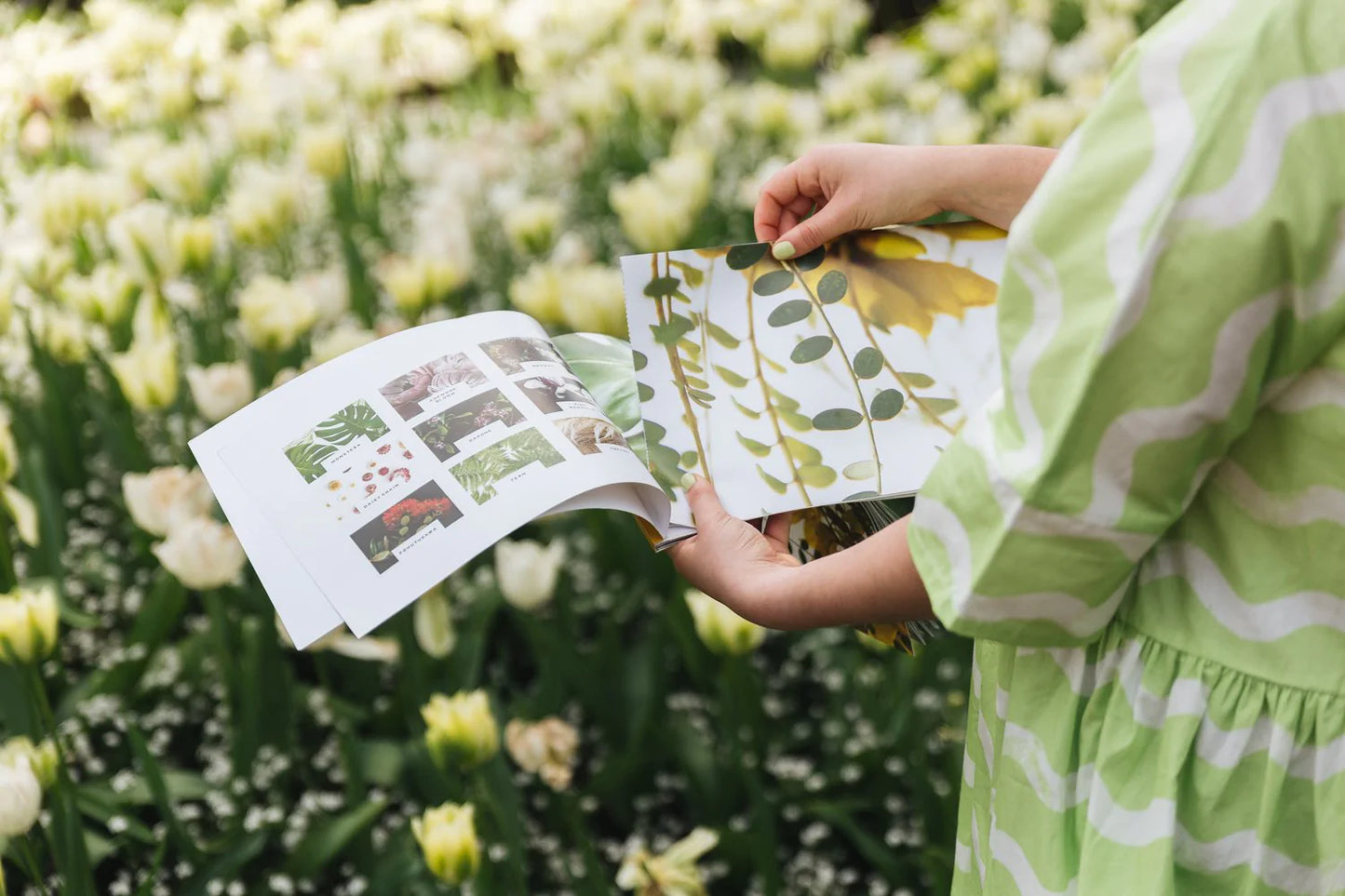 Art Wrap - NZ in Bloom