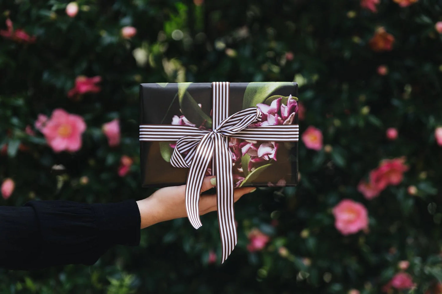 Art Wrap - NZ in Bloom
