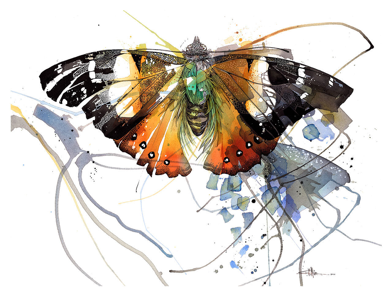 Kahukowhai Admiral Butterfly