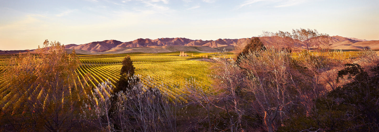 Magical Marlborough
