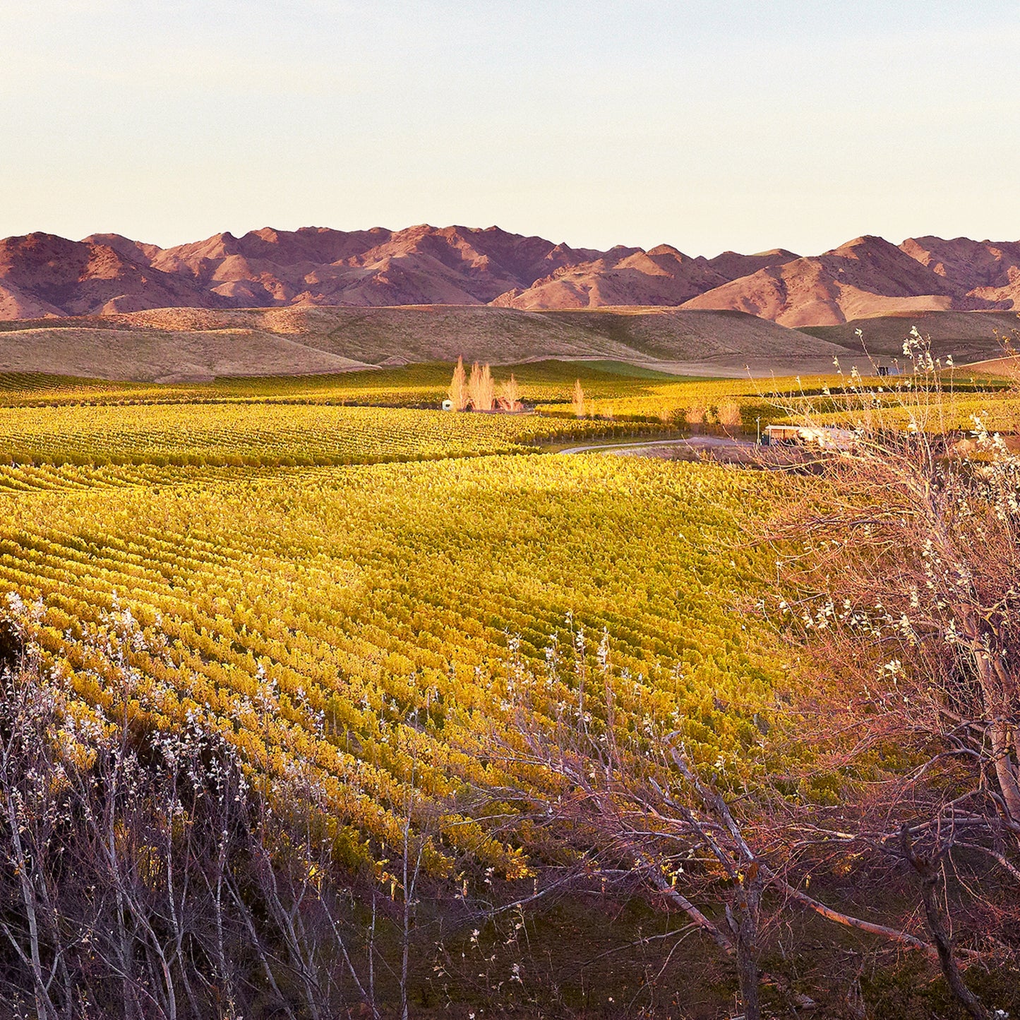 Magical Marlborough