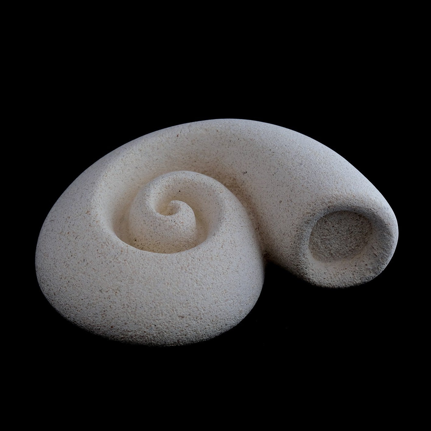 Nautilus Shell