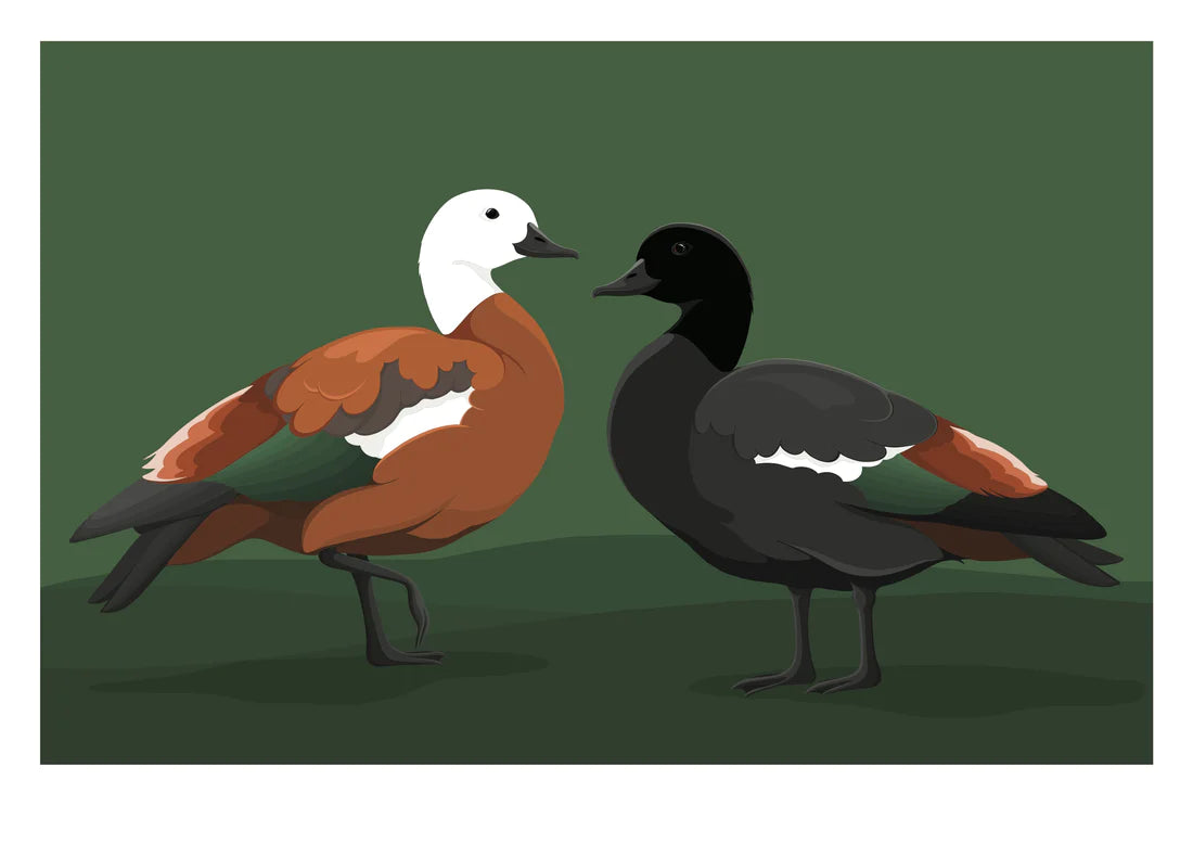 Paradise Pair
