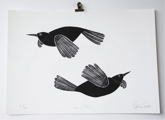 Tui In Paru