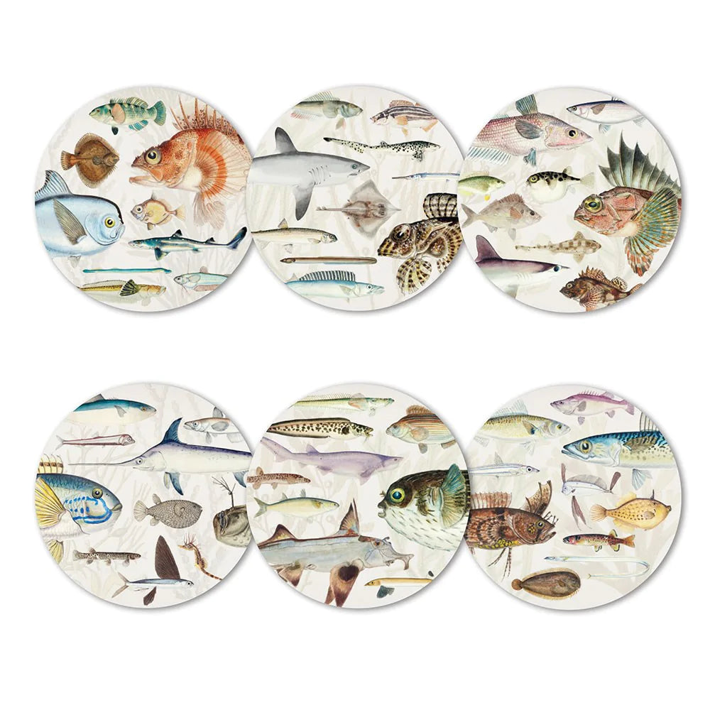 100% NZ - Fishes of NZ Set of 6 Coasters