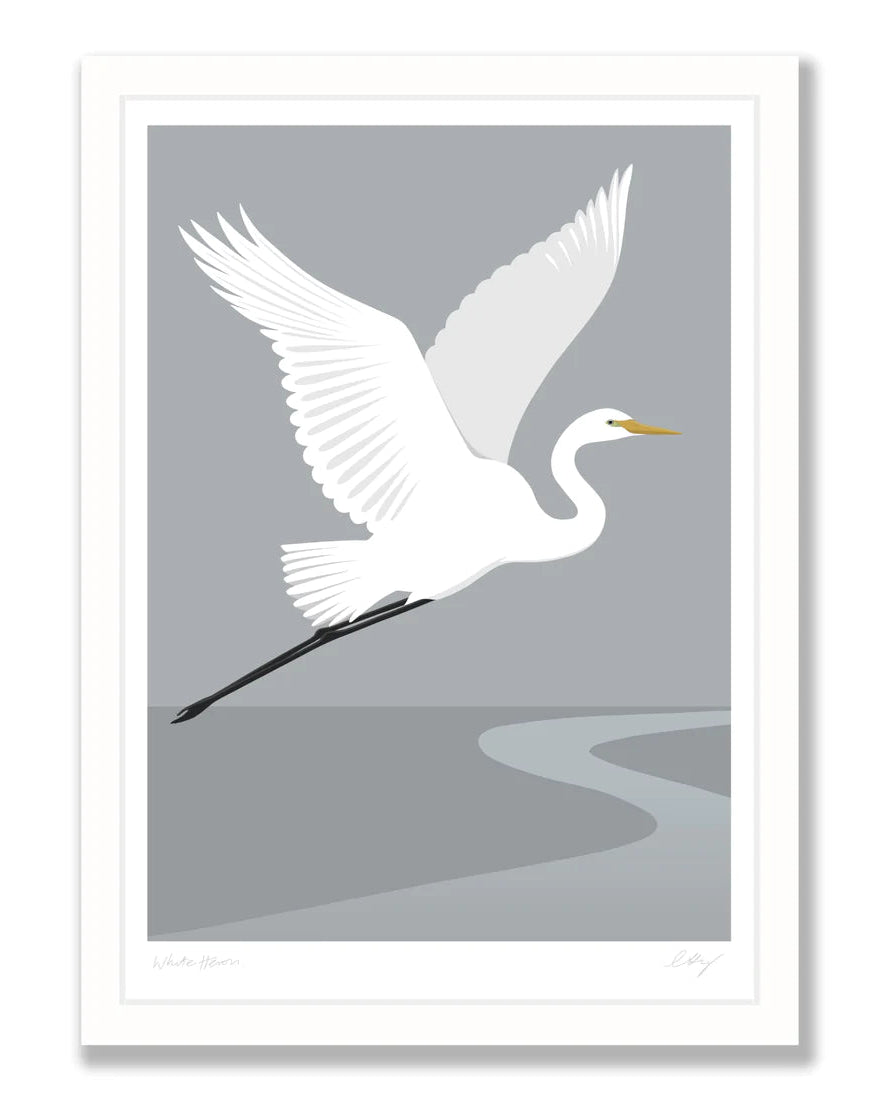 White Heron