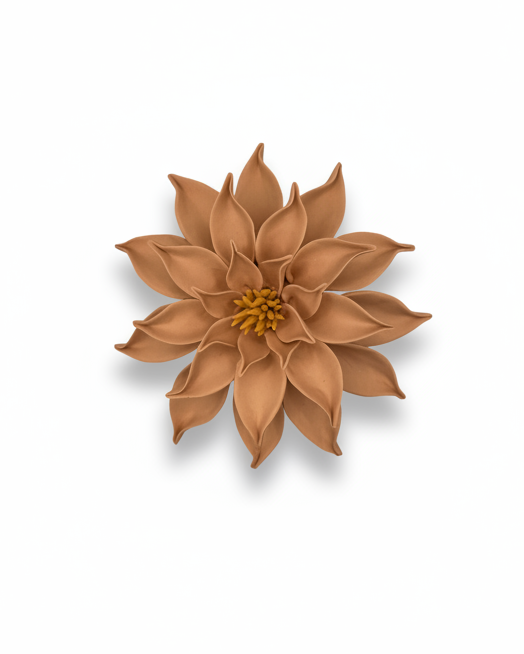 Dahlia in Coral