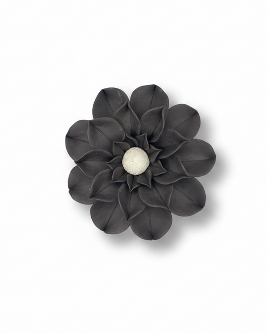 Dahlia in Black and White