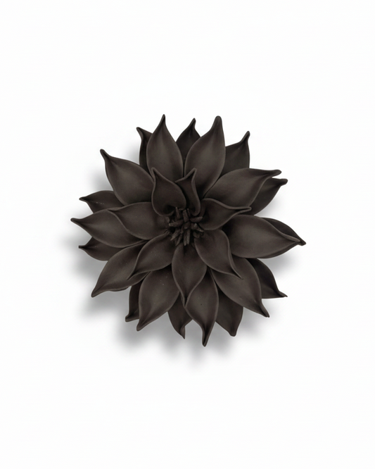 Dahlia in Black
