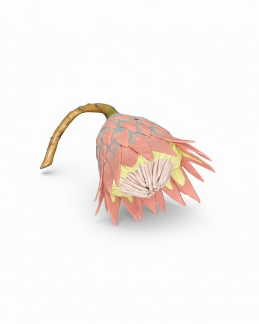 King Protea