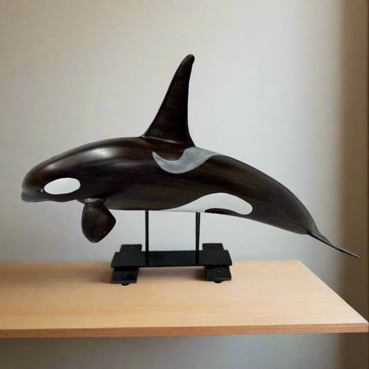 Orca in Walnut