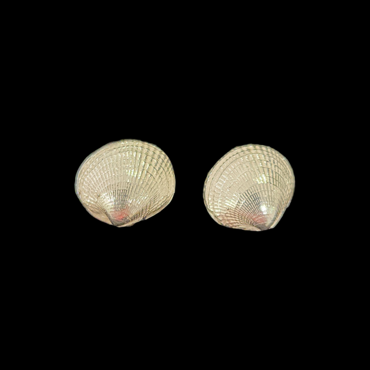 Cockle Studs