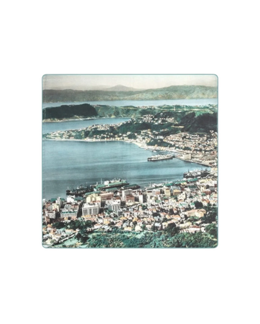 Whites Aviation Cushion Cover - Wellington