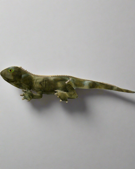 Trevor the Tuatara