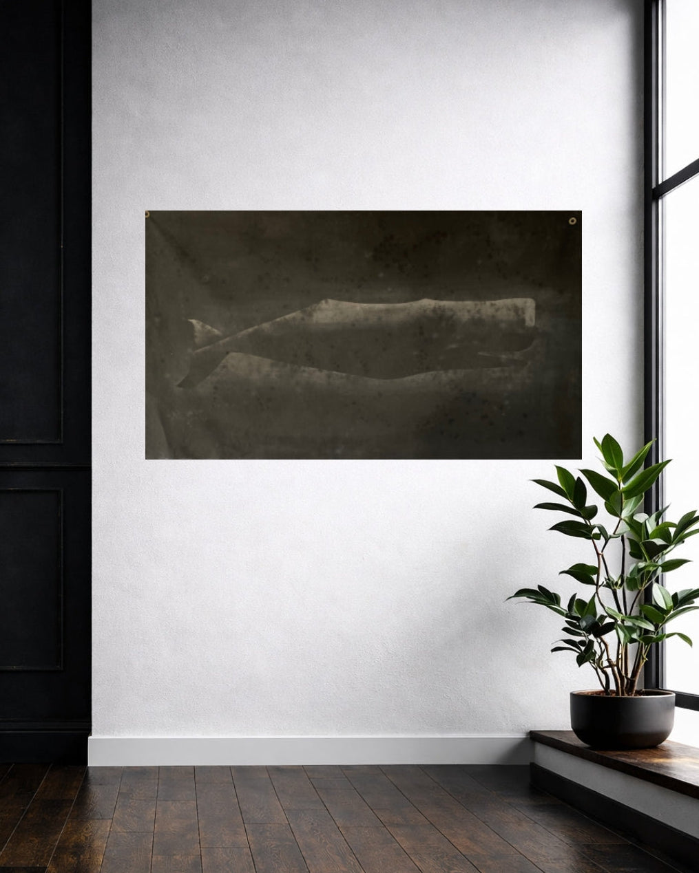 Large Heavy Sperm Whale