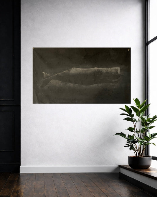 Sperm Whale Painting On Olive Canvas