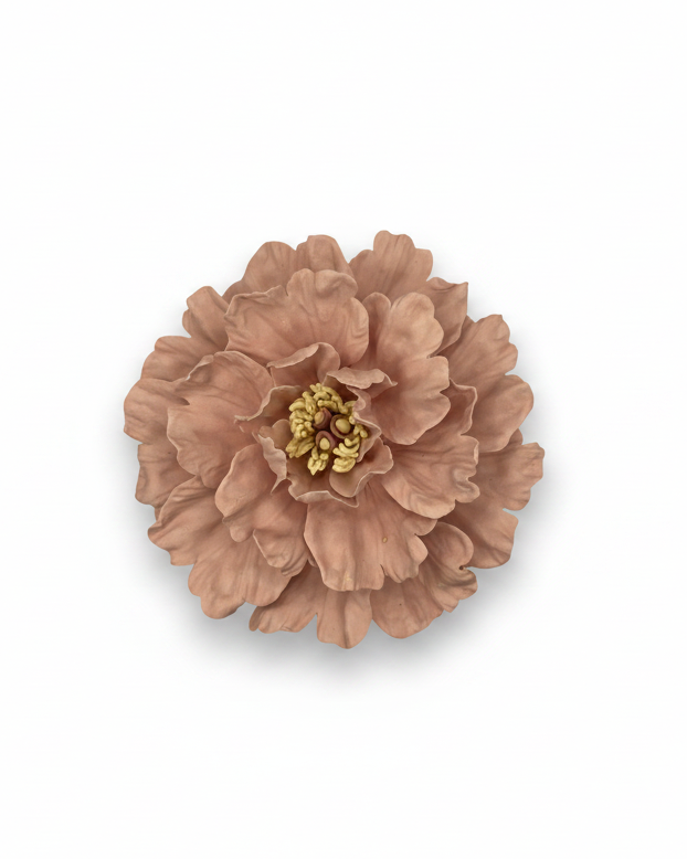 Peonies in Blush Pink