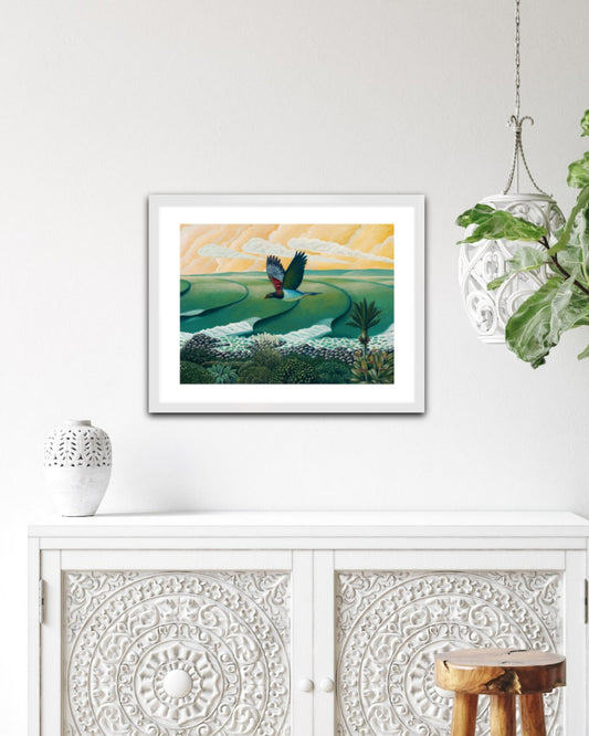 Kereru at Whale Bay Raglan
