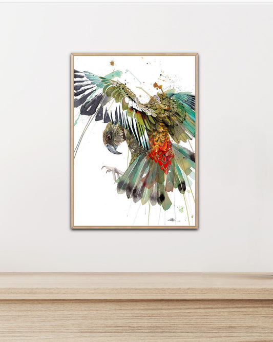 Box frame - Colour Burst Kia