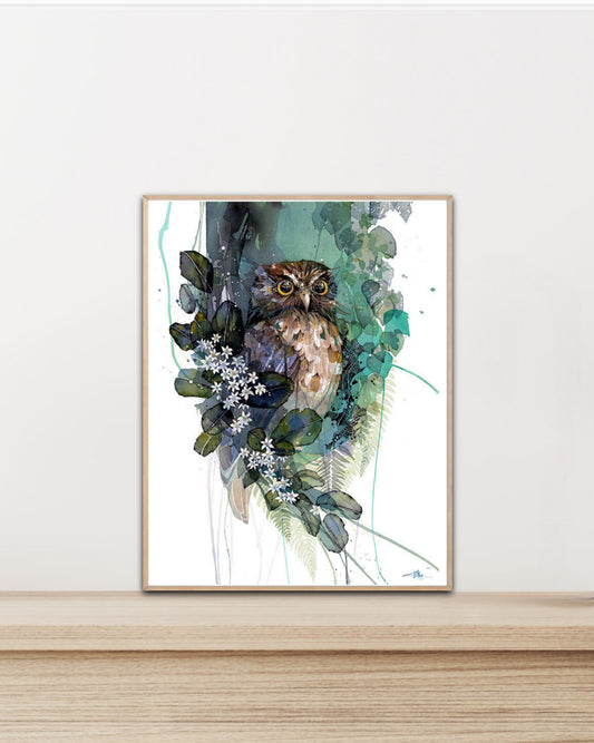 Box frame - Morepork Putaputaweta