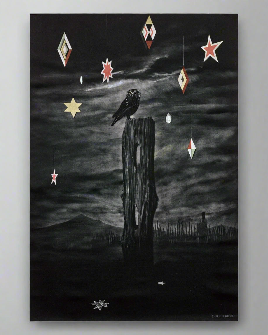 Nocturnal Canvas