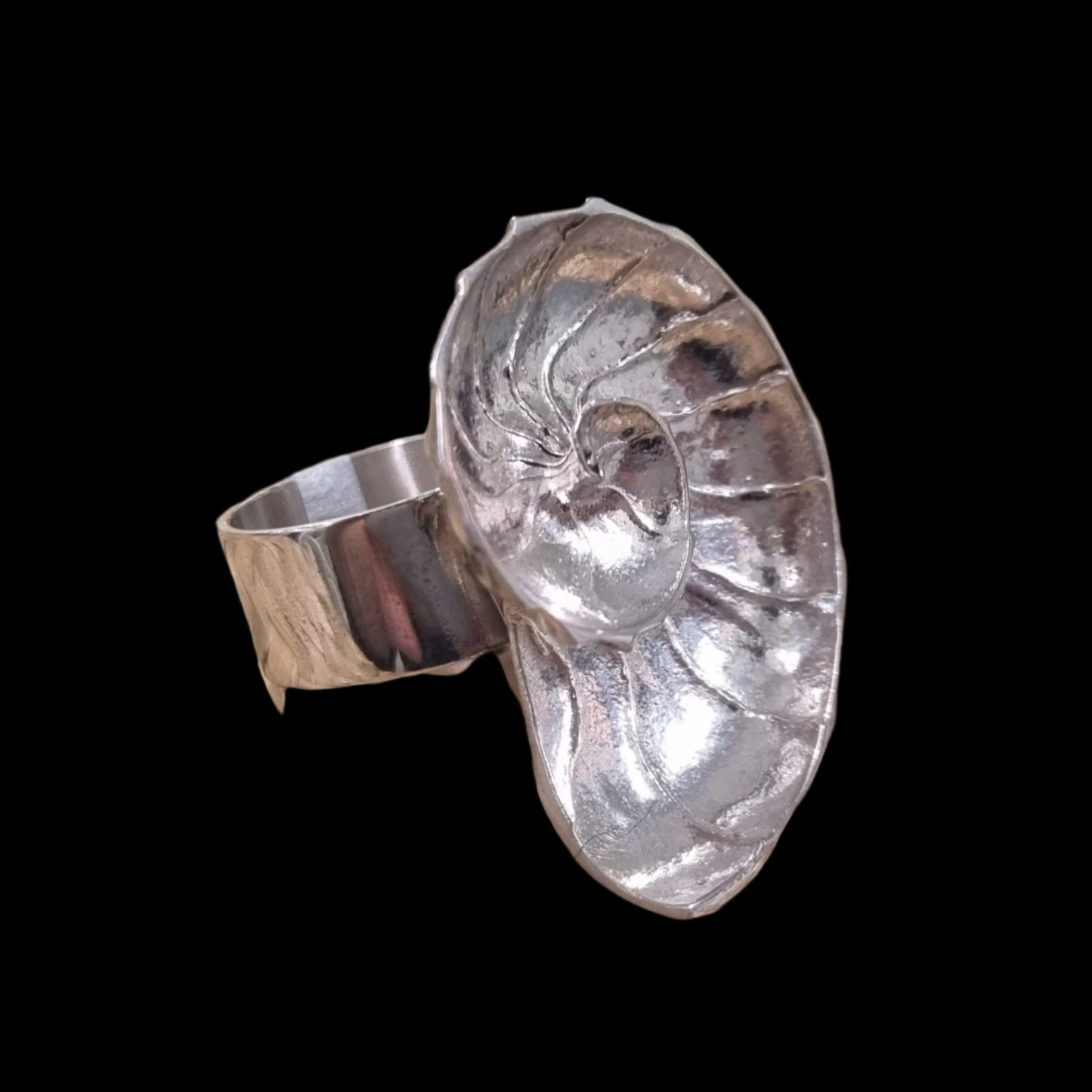 Big Nautilus Ring