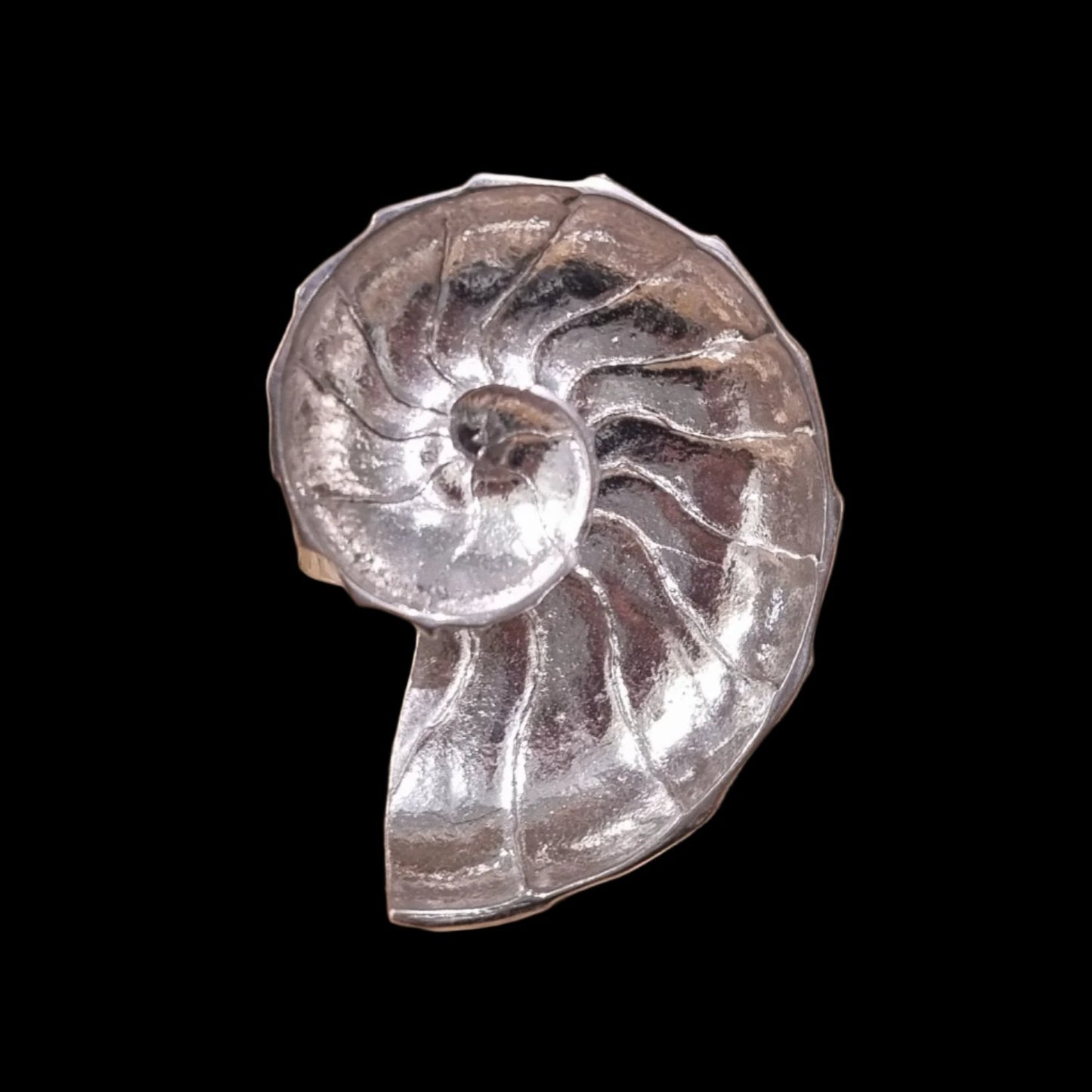 Big Nautilus Ring