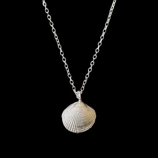 Tiny Shell Clam Necklace