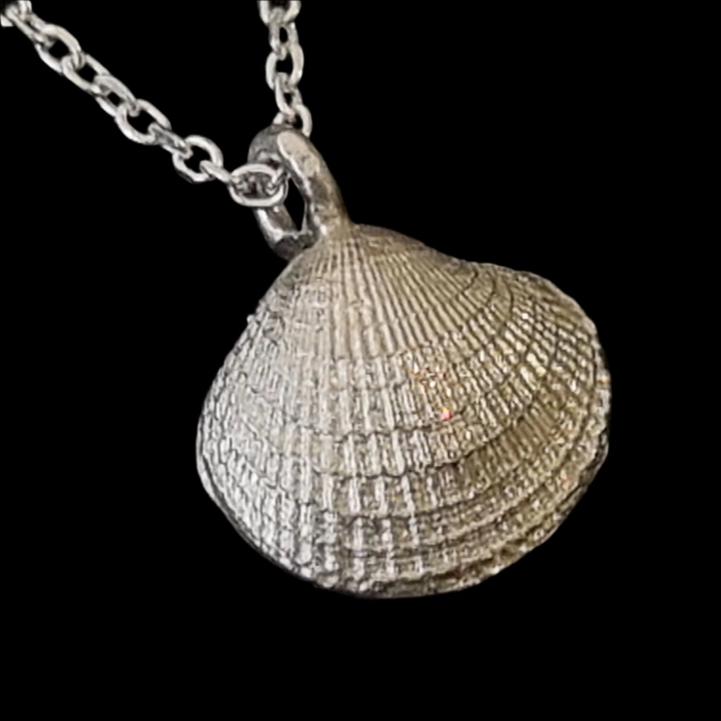 Tiny Shell Clam Necklace