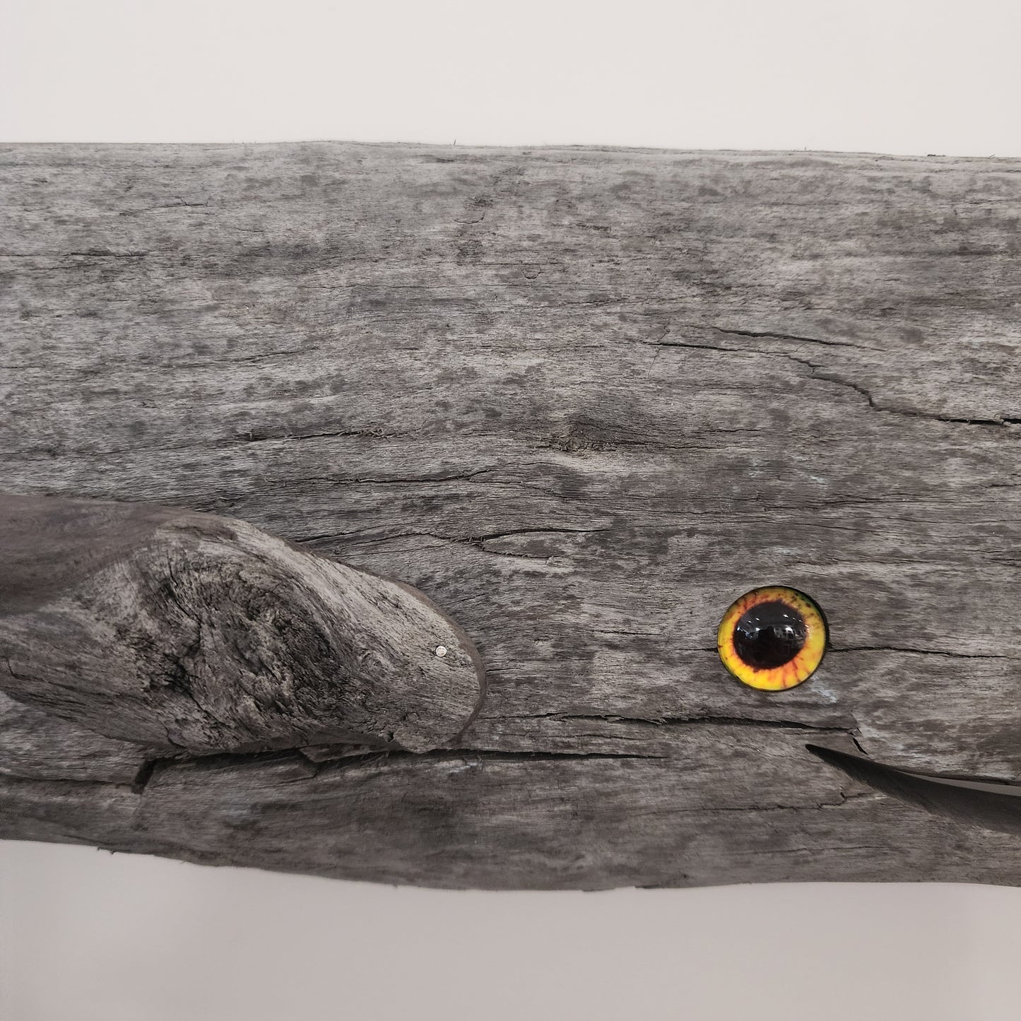 Driftwood Whale Walnut