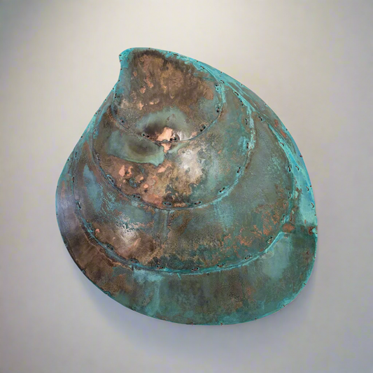 Copper Cockle