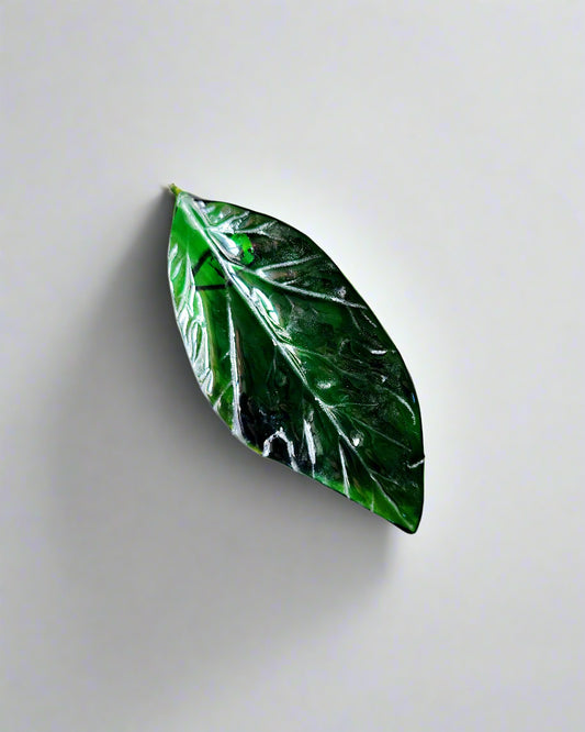 Drift Glass Leaves 1