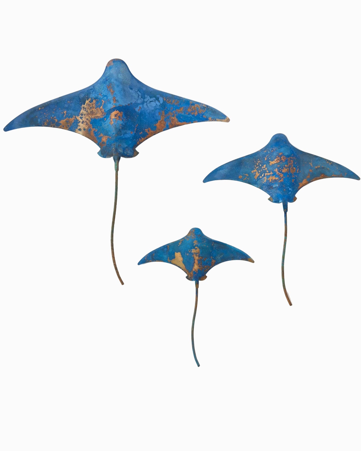 Stingrays - Set of 3