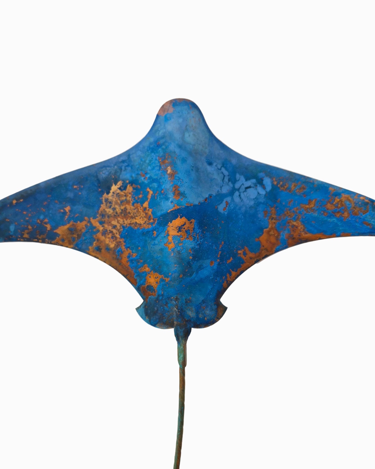 Stingrays - Set of 3