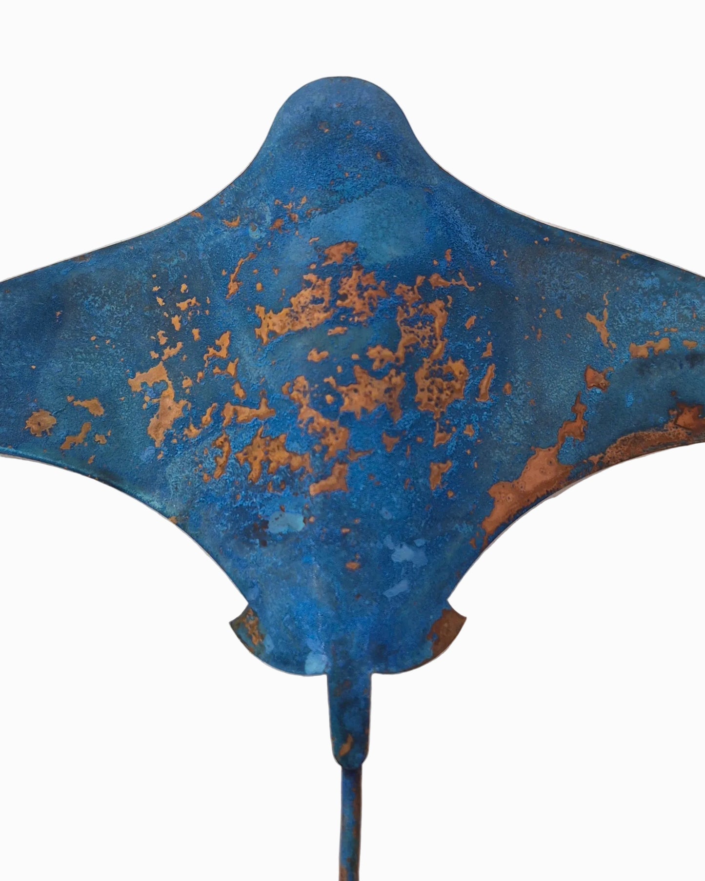 Stingrays - Set of 3