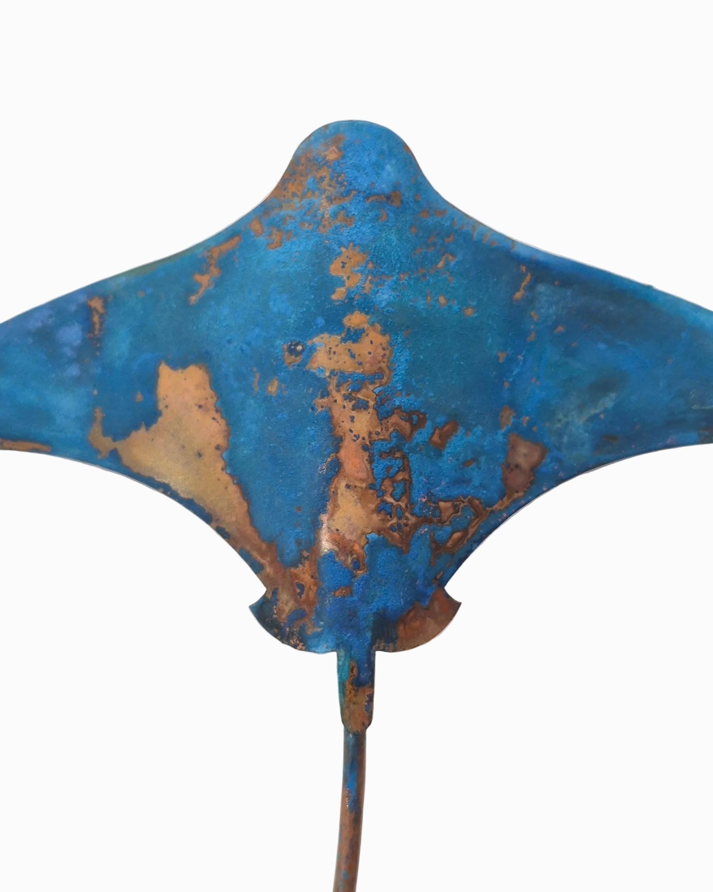 Stingrays - Set of 3