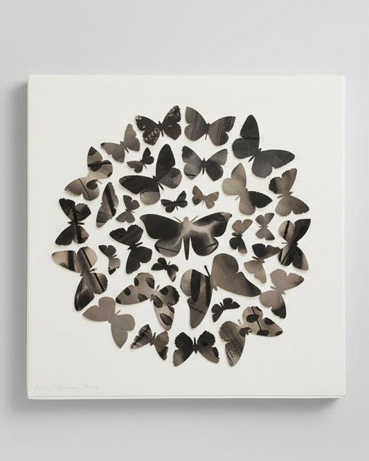Black Butterflies - Original Painting