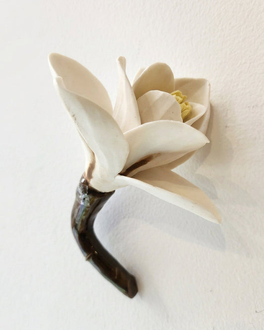 Magnolia in White