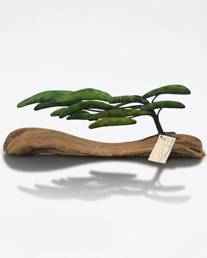 Windswept Tree On Driftwood II