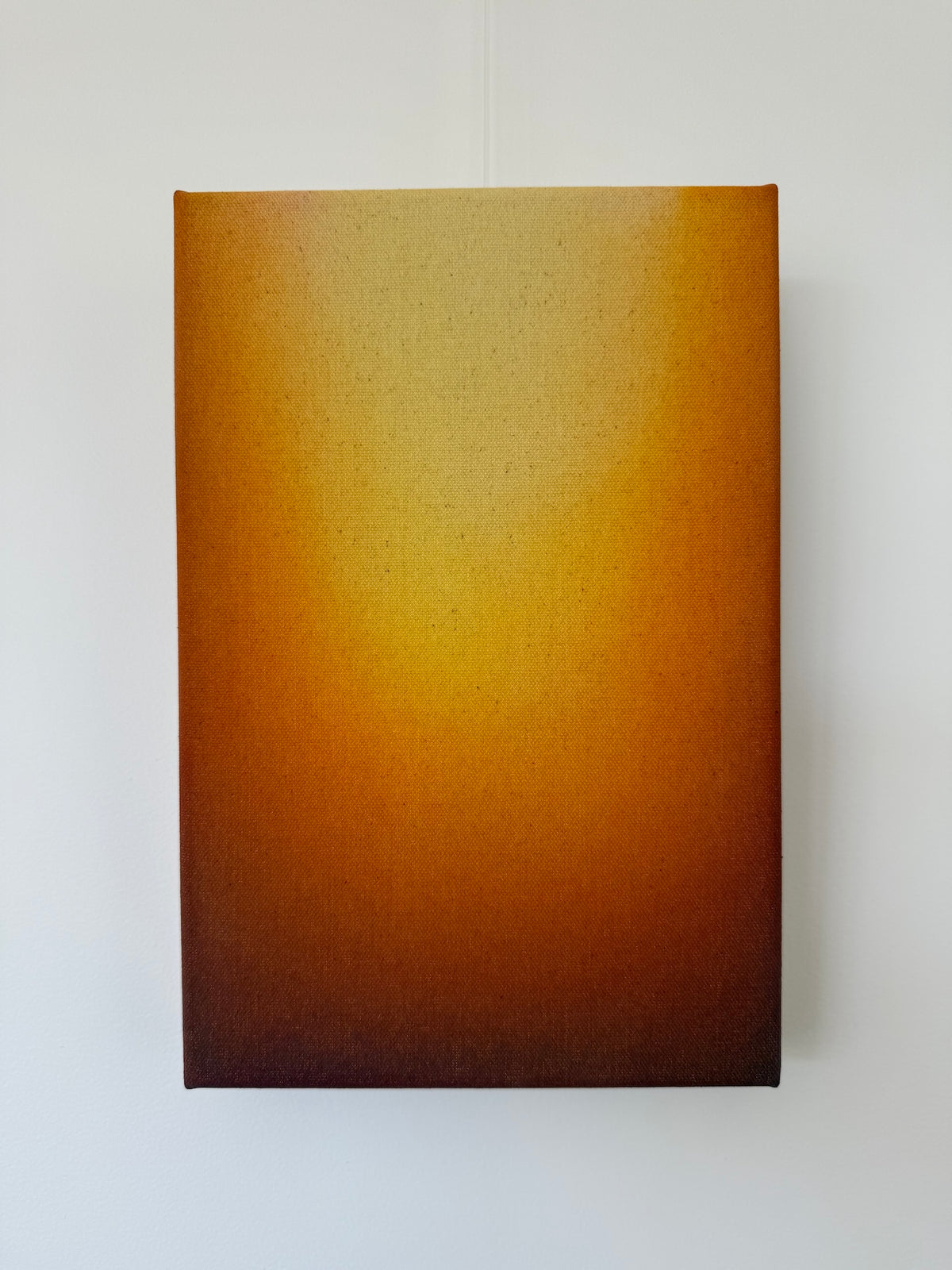 Amber Unfolding
