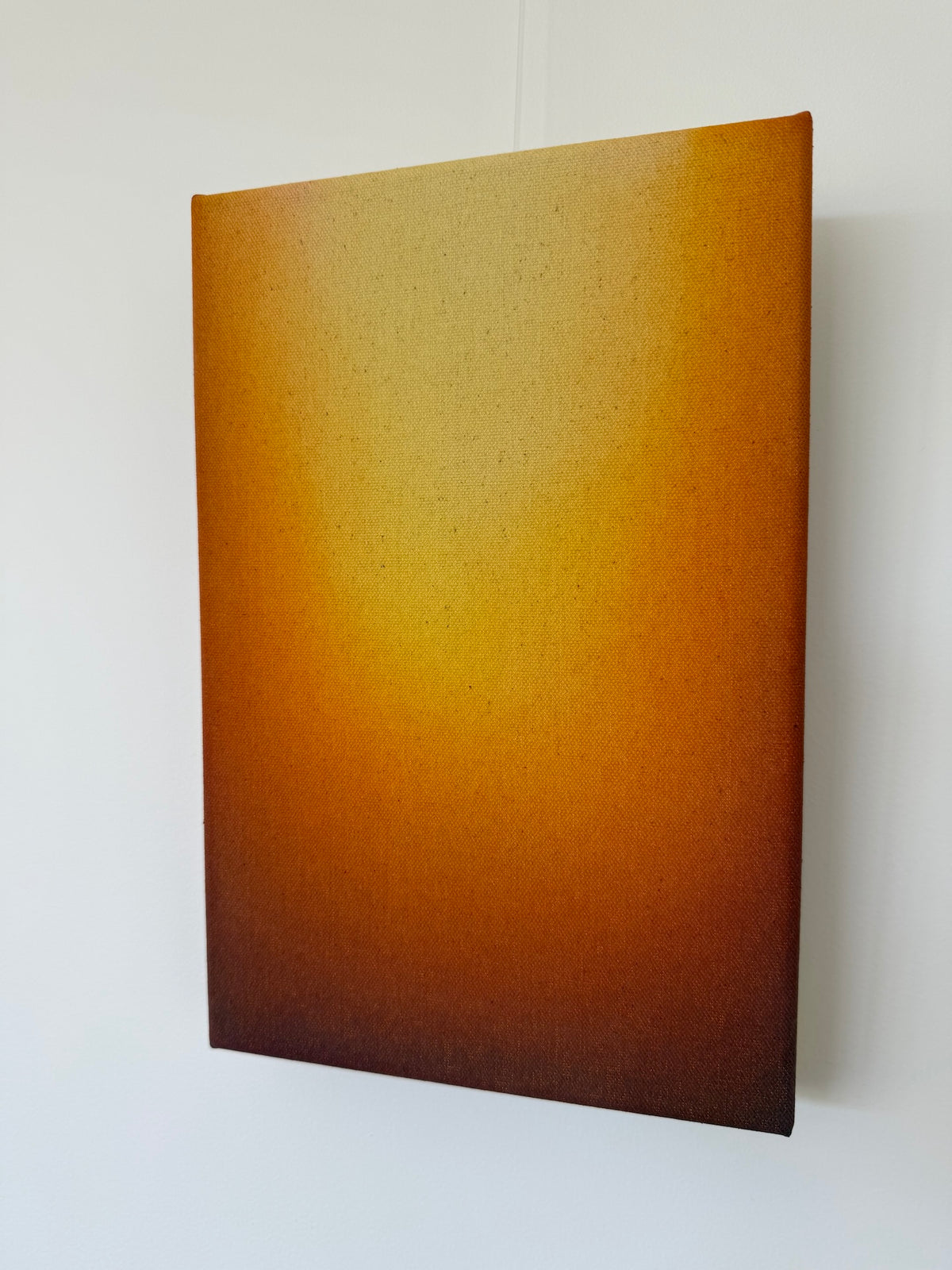 Amber Unfolding