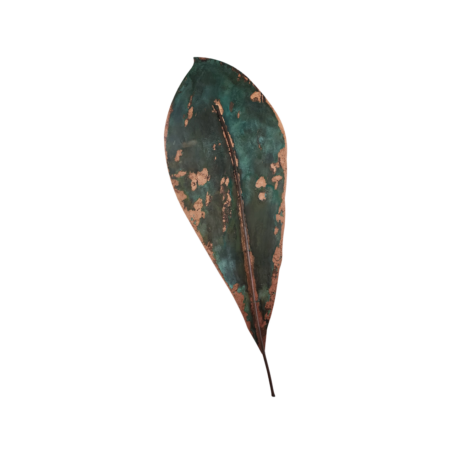 Copper Giant Leaf