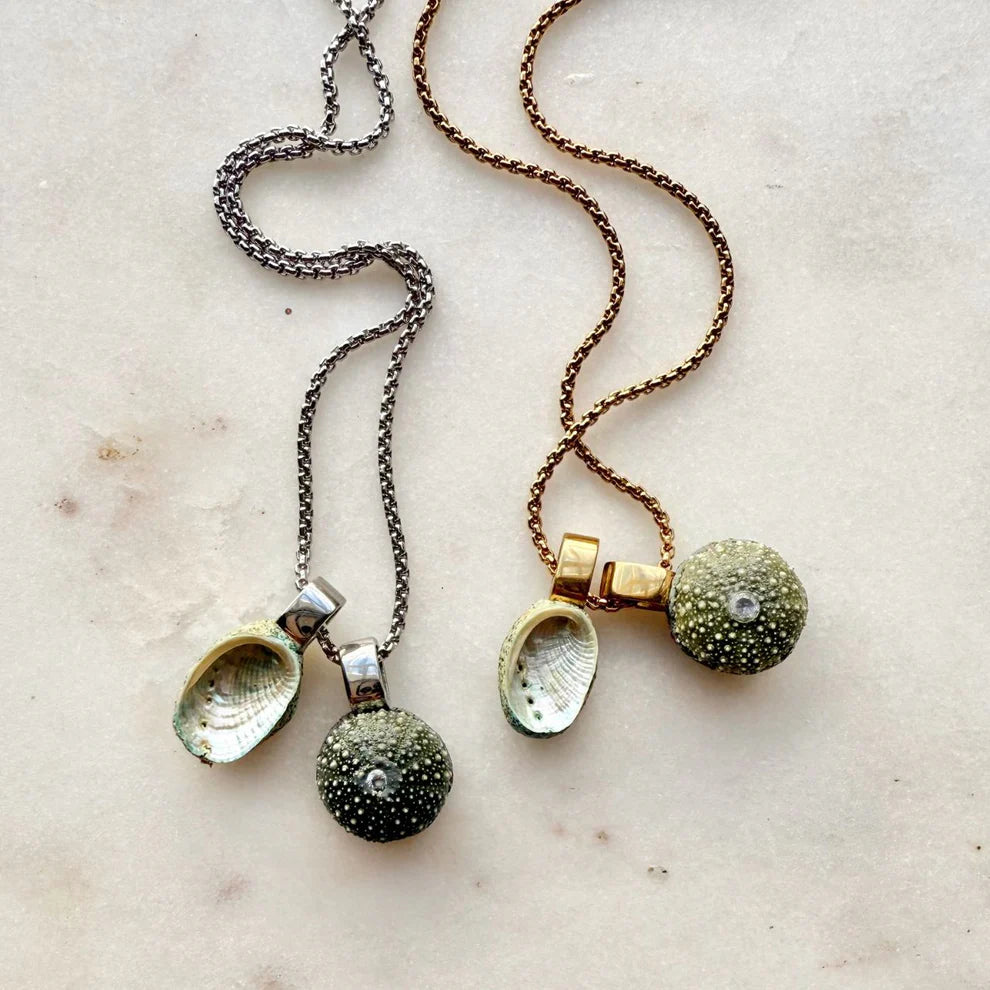 Pāua & Kina Shell Pair Necklace